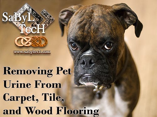 Removing Pet Urine From Carpet Tile, How To Remove Old Dog Urine Stains From Tiles